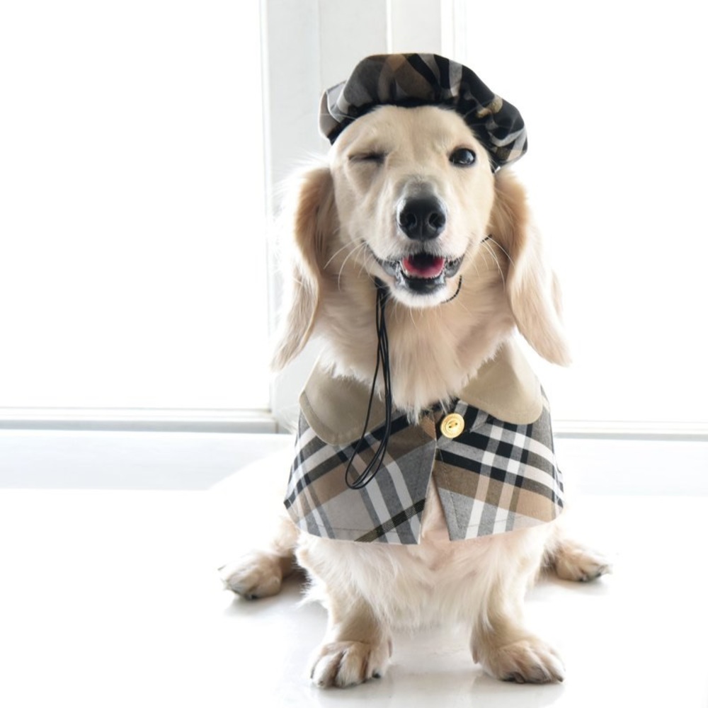 Plaid Pet British Cape For Dog